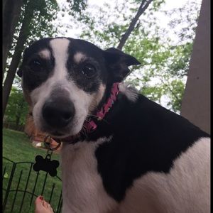 Meet your Posher, Julie